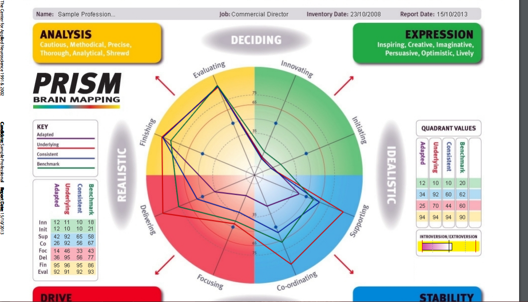 Prism Mind Mapping: where innovation meets scienceVital Minds Business