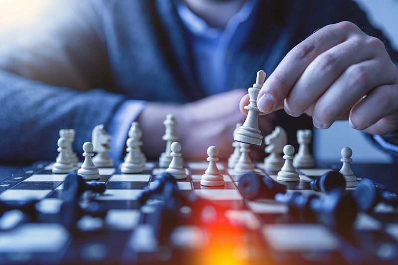 What Type of Leader Are You – A Chess Master or a Gardener? - Vital Minds  Business Training